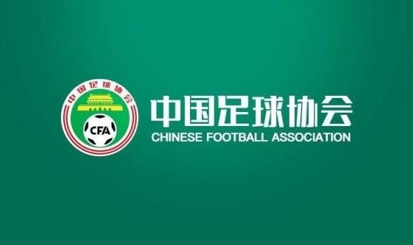 在上一轮意甲联赛，纳坦和罗马前锋卢卡库对抗后受伤倒地，随后被诊断为肩膀脱臼。